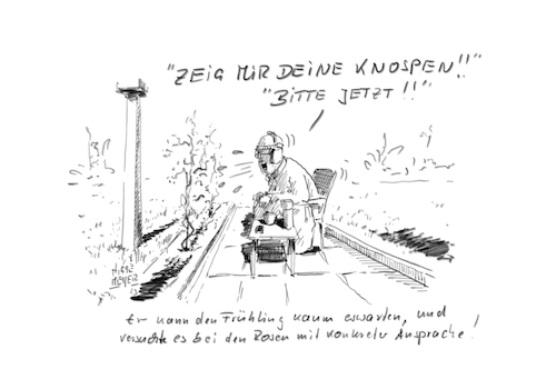 Cartoon: Ungeduld und ... (medium) by Jori Niggemeyer tagged frühling,garten,erwartung,mensch,knospen,rose,rosen,rosenstock,natur,gartenstuhl,mann,liebe,frühling,garten,erwartung,mensch,knospen,rose,rosen,rosenstock,natur,gartenstuhl,mann,liebe