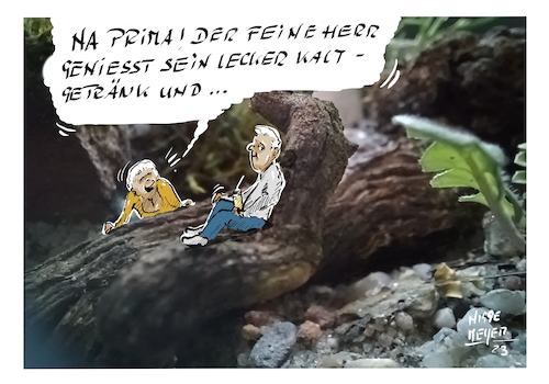 Cartoon: Wenn es Zuhause ... (medium) by Jori Niggemeyer tagged ehe,beziehung,stress,konflikt,kaltgetränk,mann,frau,streit,ehestreit,auszeit,abstand,ehe,beziehung,stress,konflikt,kaltgetränk,mann,frau,streit,ehestreit,auszeit,abstand