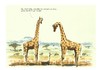 Cartoon: Der Girdack (small) by Jori Niggemeyer tagged giraffe,dackel,afrika,kibu,kilimandscharo,karikatur,krügernationalpark,savanne,staunen,fremdgehen,eifersucht,niggemeyer,joricartoon,cartoon