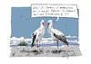 Cartoon: Zu uns... (small) by Jori Niggemeyer tagged zugvögel,gastfreundschaft,solidarität,störche,afrika,ukraine,standwithukraine,stopputin,stopwar,sicherheit,brandenburg,spreewald,humor,joricartoon,niggemeyer,cartooon,cartoonart,illustration,illustrator,karikatur,satire,cartoondrawing,witzigebilder,cartoon