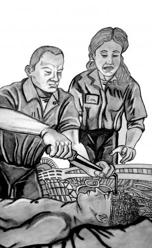 The Mechanicals The Mechanicals