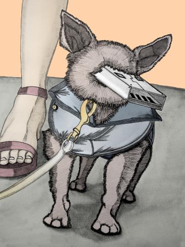 The Ultimate Pet The Ultimate Pet