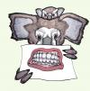 Cartoon: The Fierce Koala (small) by javierhammad tagged koala fierce nature ecology fight teeth mouth