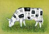 Cartoon: Cow (small) by Riina Maido tagged cow,newspaper