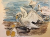 Cartoon: Kartoon Duck mit Schwänen (small) by CatPal tagged aquarell,drawing