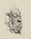 Cartoon: BB King WIP (small) by cosminpodar tagged cartoon caricature drawing