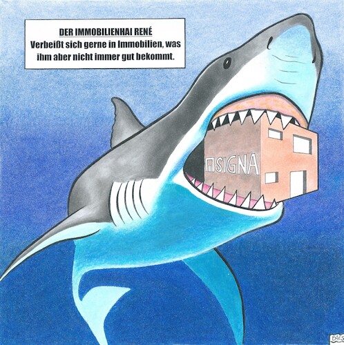 Immobilienhai Immobilienhai
