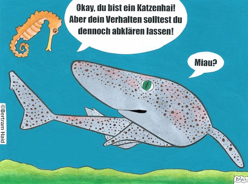 Cartoon: Katzenhai (medium) by BAES tagged hai,katzenhai,tiere,seepferdchen,verhalten,katzen,meer,therapie,hai,katzenhai,tiere,seepferdchen,verhalten,katzen,meer,therapie