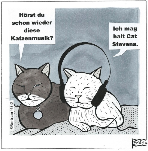 Katzenmusik