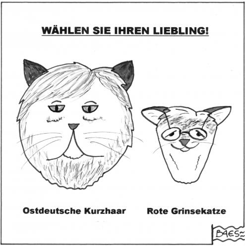 Wahl 2009 Wahl 2009