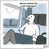 Gedanken eines Lokvogels.