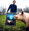 Cartoon: Pig laughing at my painting.. (small) by lostrider1955 tagged pig animal