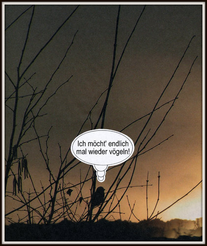 Cartoon: ... (medium) by Andreas Prüstel tagged vögel,vögeln,cartoon,collage,andreas,pruestel