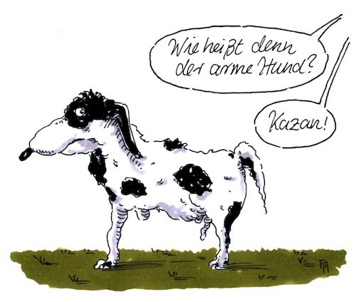armer hund armer hund