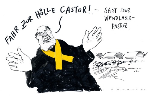 castor castor