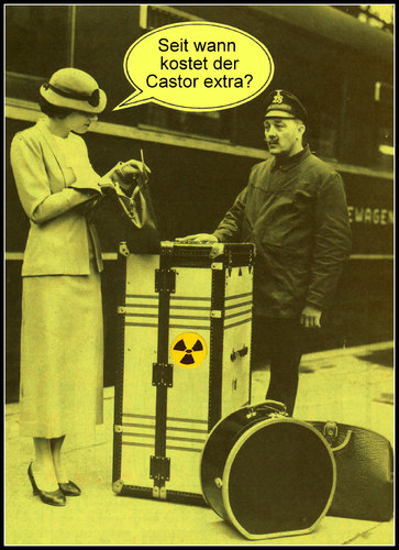 castor castor