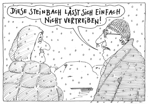 dauerbrenner dauerbrenner