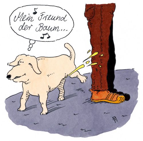der baum der baum