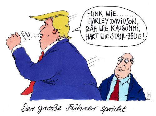 großer führer großer führer