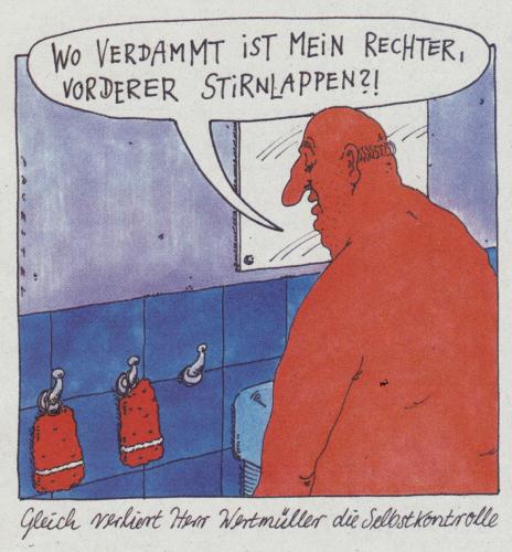 hirnlappen hirnlappen