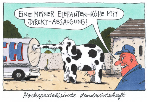 hochspezialisierung hochspezialisierung