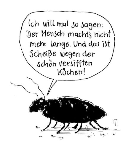 Cartoon: kakerlake (medium) by Andreas Prüstel tagged menschheit,zukunft,pessimismus,kakerlake,versifft,küchen,cartoon,karikatur,andreas,pruestel,menschheit,zukunft,pessimismus,kakerlake,versifft,küchen,cartoon,karikatur,andreas,pruestel