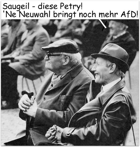 neuwahlen neuwahlen