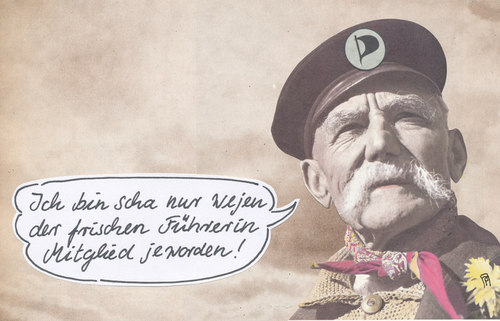 piratenpartei piratenpartei