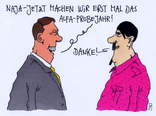 probejahr probejahr