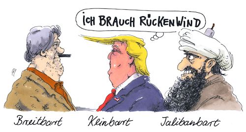 rückenwind rückenwind
