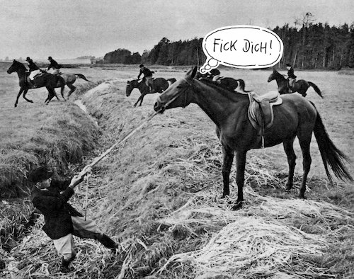 schön stur schön stur