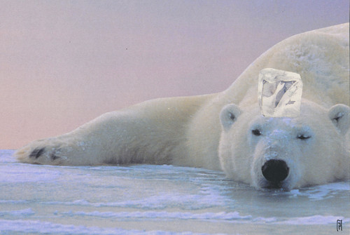 servus klimaschutz servus klimaschutz