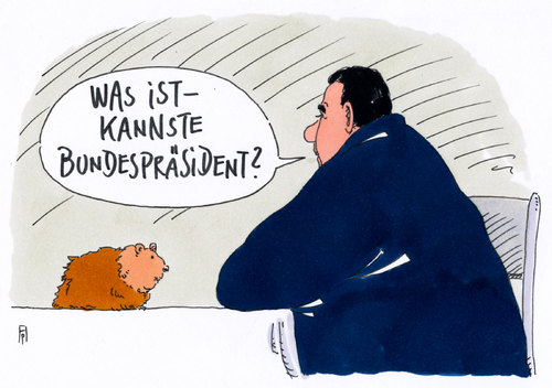 Cartoon: sigmars suche (medium) by Andreas Prüstel tagged sigmar,gabriel,spd,präsidentschaftskandidat,bundespräsident,suche,cartoon,karikatur,andreas,pruestel,sigmar,gabriel,spd,präsidentschaftskandidat,bundespräsident,suche,cartoon,karikatur,andreas,pruestel