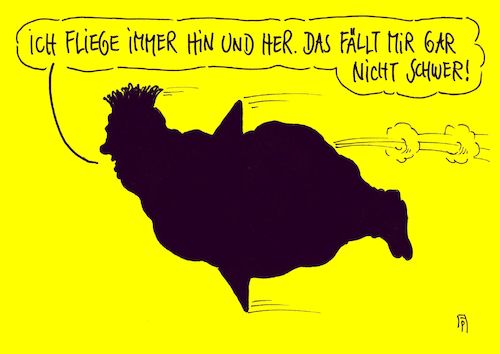 vielflieger vielflieger