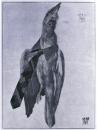 Cartoon: d.frühe vogel fängt d.schlips (small) by Andreas Prüstel tagged karriere,dürer,krawatte