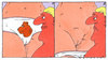 Cartoon: irreführung (small) by Andreas Prüstel tagged slipbild,bär,bärin,enttäuschung