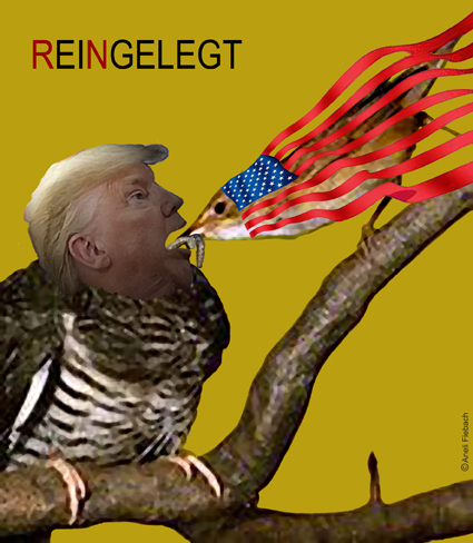 Cartoon: REINGELEGT (medium) by Aneli Fiebach tagged trump
