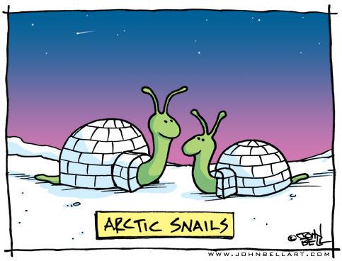 Cartoon: Arctic Snails (medium) by JohnBellArt tagged snail,igloo,slug,arctic,snow,cold,funny,cartoon,humor