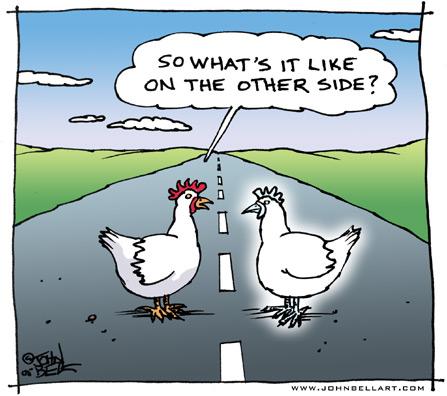 Cartoon: The Other Side (medium) by JohnBellArt tagged chicken,cross,road,other,side,death,ghost