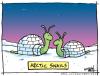 Cartoon: Arctic Snails (small) by JohnBellArt tagged snail,igloo,slug,arctic,snow,cold,funny,cartoon,humor