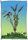 Cartoon: Tongue Tied (small) by JohnBellArt tagged dragonfly,dragon,fly,cattails,reed,frog,tongue,tied,capture,revenge