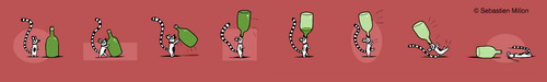 Cartoon: Lemur and his Liquor (medium) by sebreg tagged lemur,silly,humor,cartoon