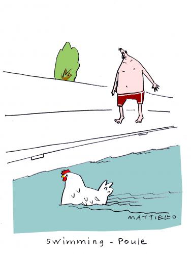 Swimming-Poule By Mattiello | Philosophy Cartoon | TOONPOOL