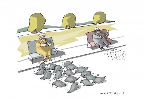 Taubenfütterung Taubenfütterung