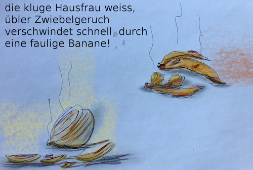 Cartoon: küchenratgeber (medium) by ab tagged küche,kochen,obst,gemüse,zwiebel,banane,geruch,abfall