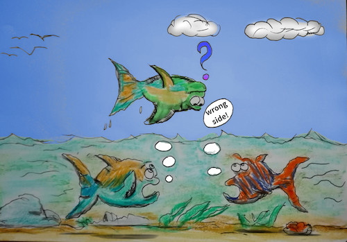 Cartoon: magic fish (medium) by ab tagged fish,water,sky,below,above