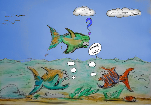 Cartoon: magic fish (medium) by ab tagged fish,water,sky,below,above