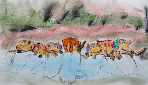 Cartoon: siebenschläfer (medium) by ab tagged 27,juni,wetter,kalender,bauernregel,sonne,regen,tiere,schlaf,christen,verfolgung,pennen