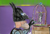 Cartoon: favorit pet (small) by ab tagged bat,man,pet