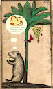 Cartoon: geschmack (small) by ab tagged frucht,banane,tier,wasserschwein,essen